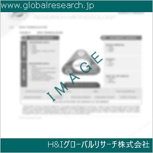 グローバルリサーチ調査資料のイメージ